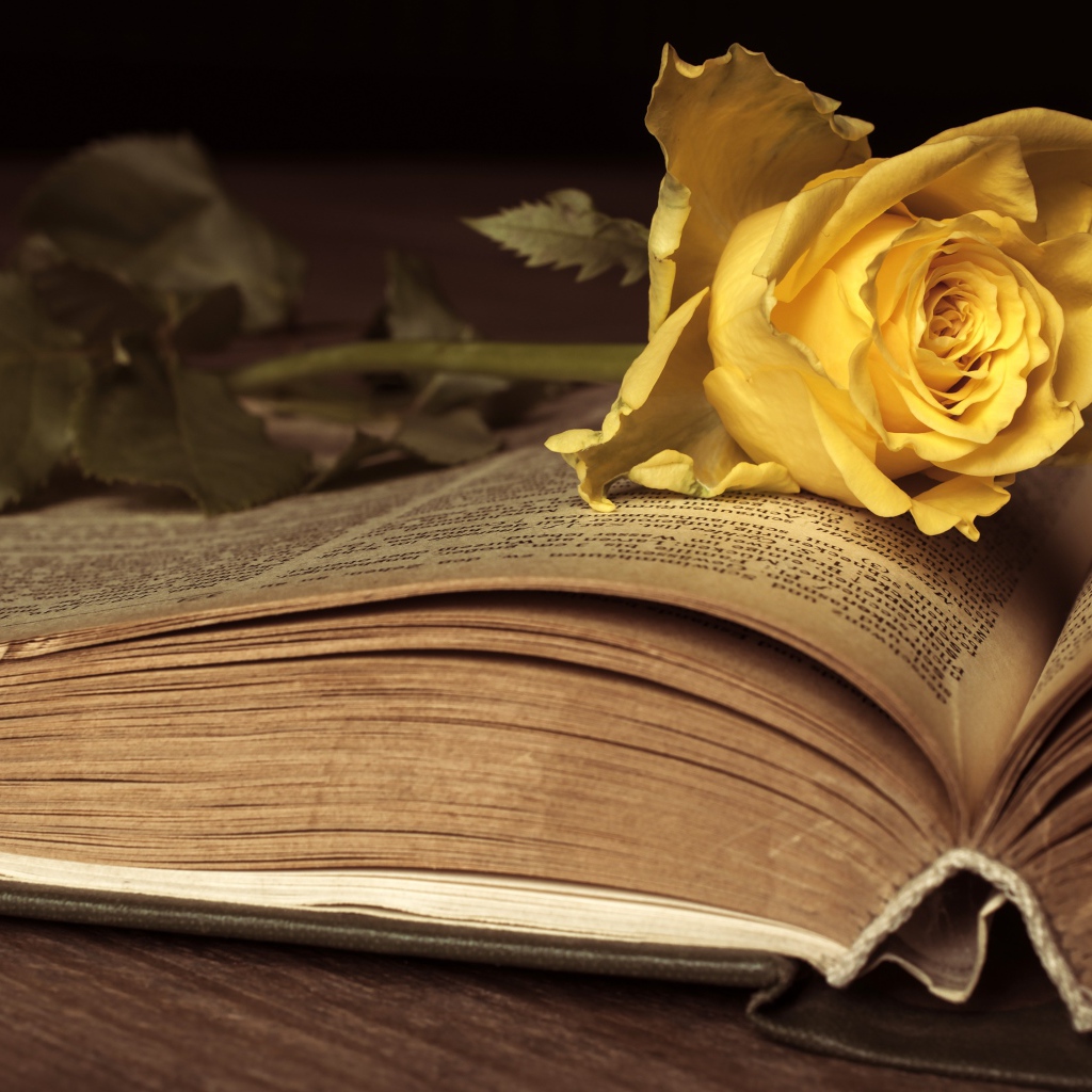 Желтая книга лежит на старой книге 