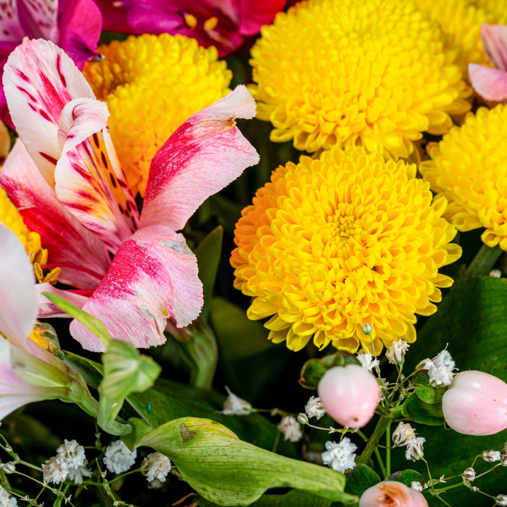 Желтые хризантемы и цветы альстромерии в букете 