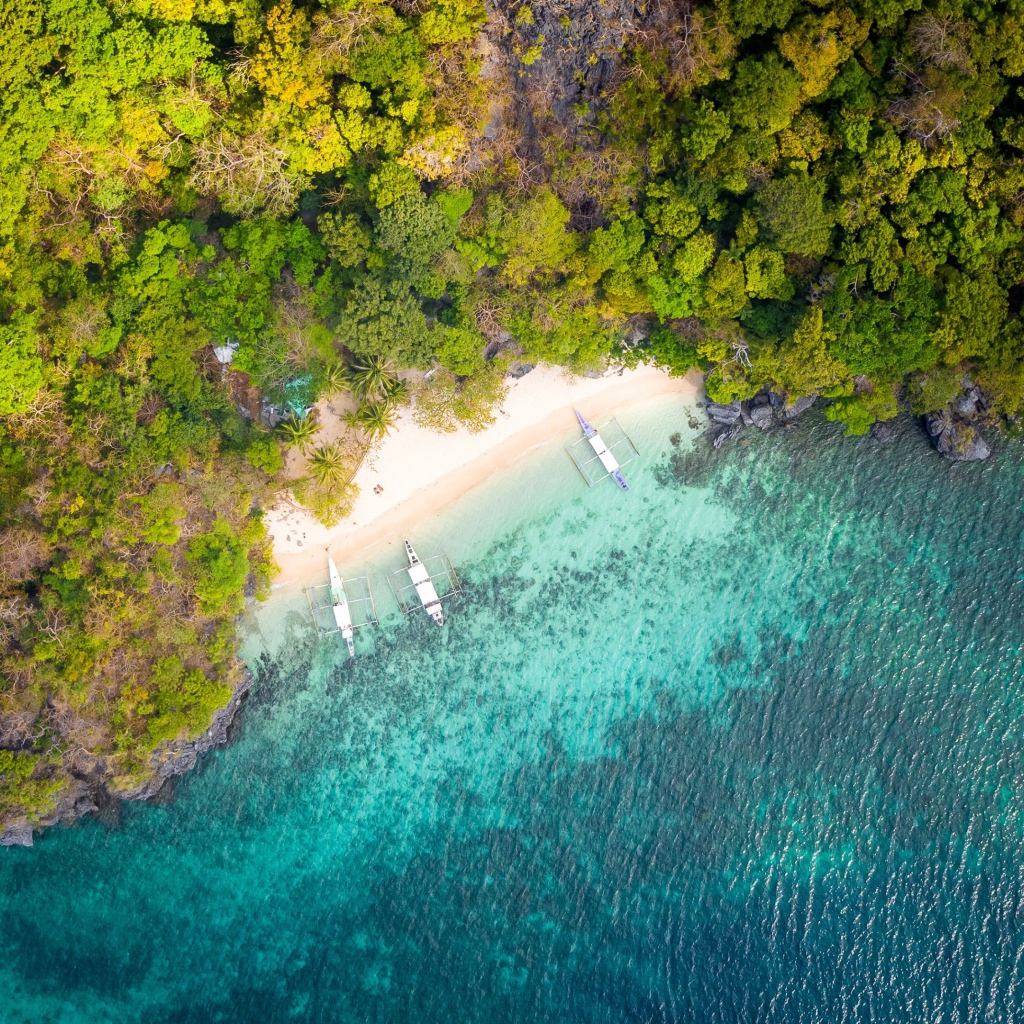 Вид на голубую воду и лес сверху 