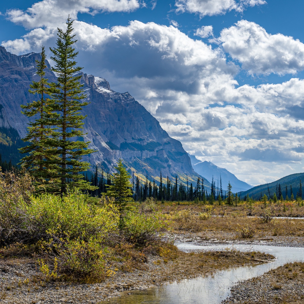 Красивый горный пейзаж под густыми белыми облаками в голубом небе