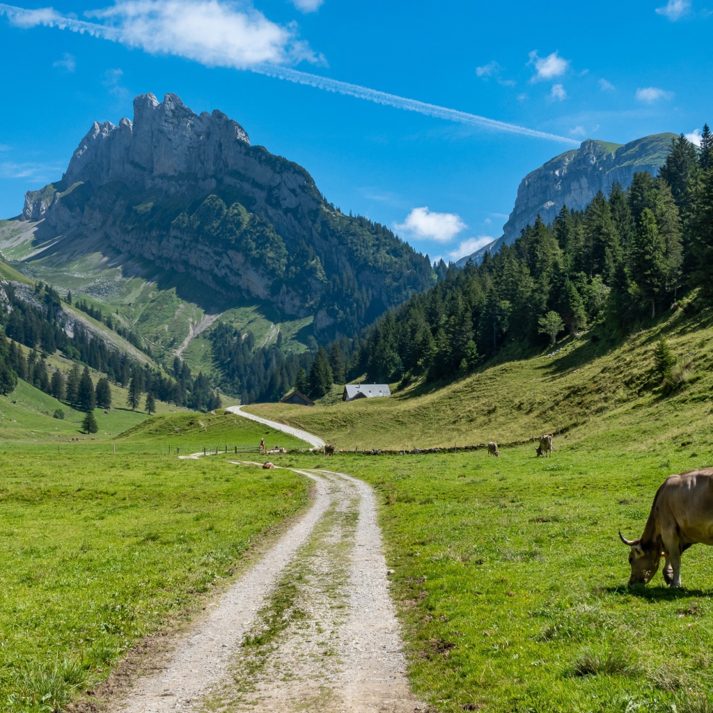 Красивый вид на гору под голубым небом летом 