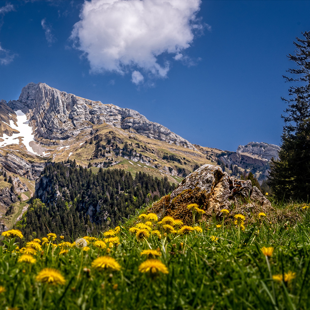 Красивая природа у подножия высокой горы под голубым небом 
