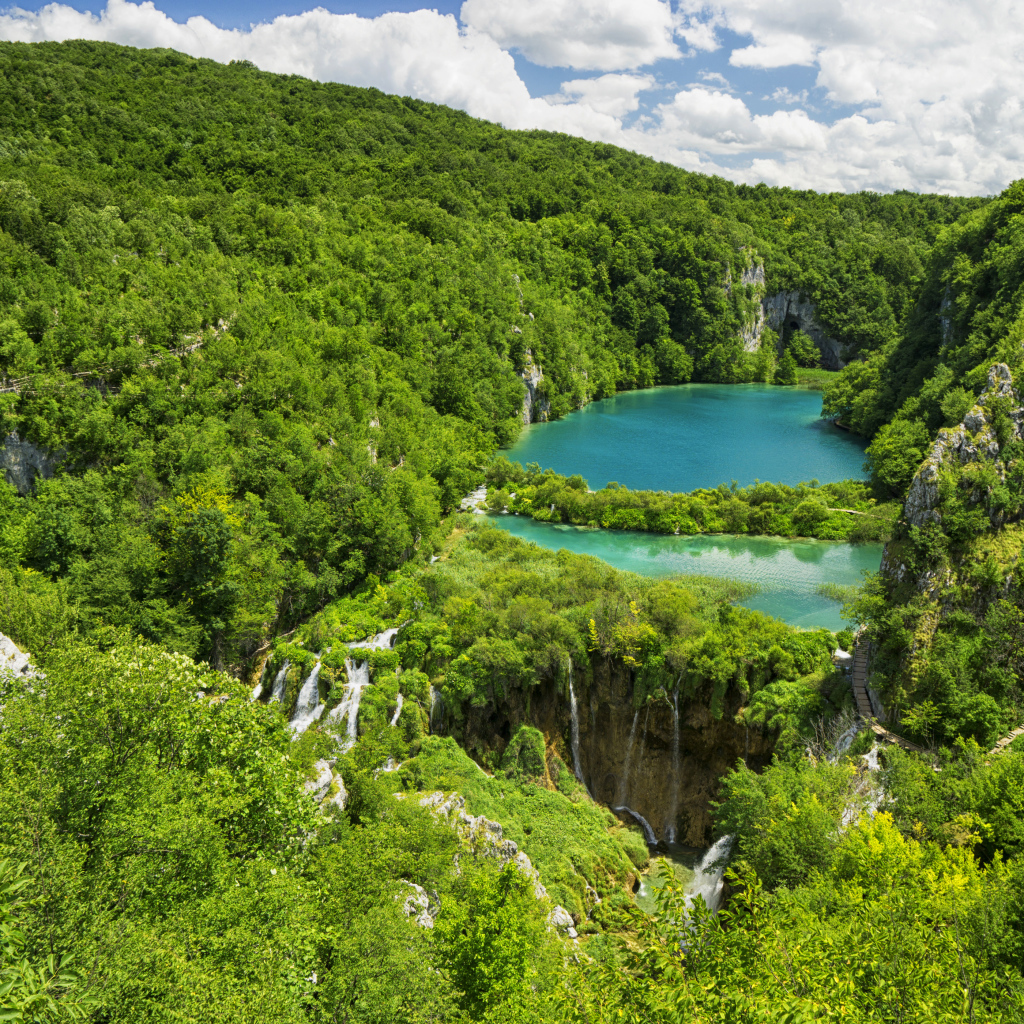 Голубая вода в озере у покрытых деревьями гор 