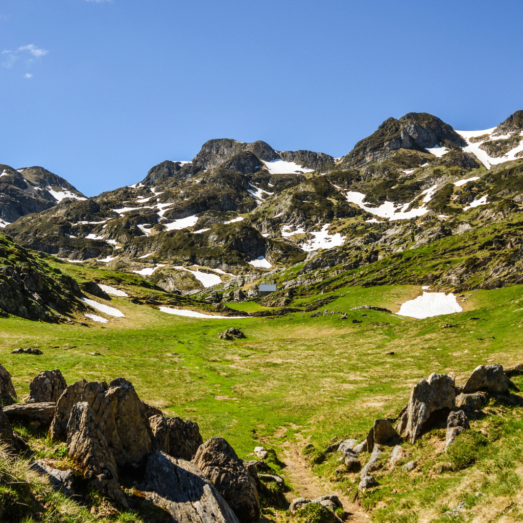 Зеленая трава у подножия заснеженных гор 