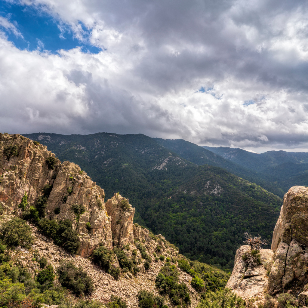 Зеленые вершины гор под белыми облаками 
