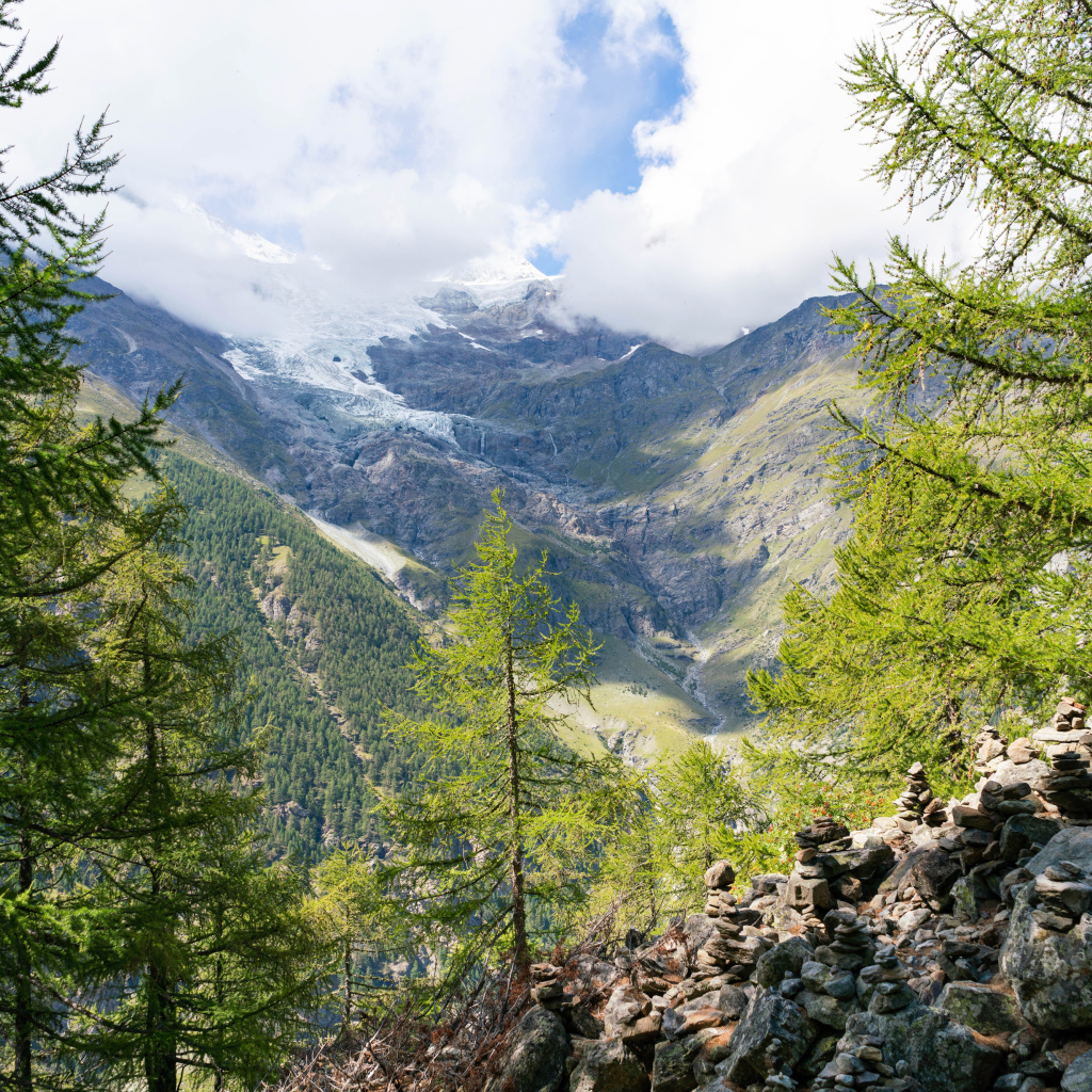 Высокие покрытые хвойным лесом горы под облачным небом 