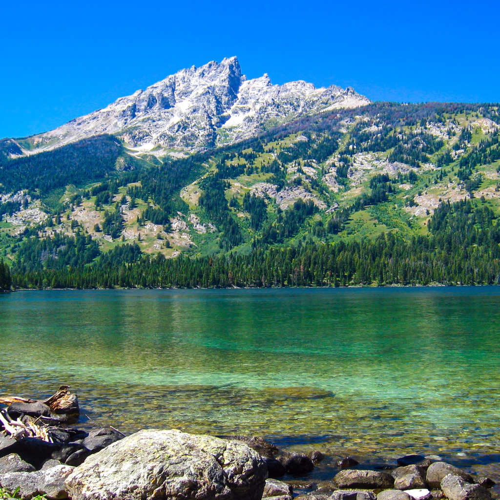 Большая покрытая растительностью  гора у озера