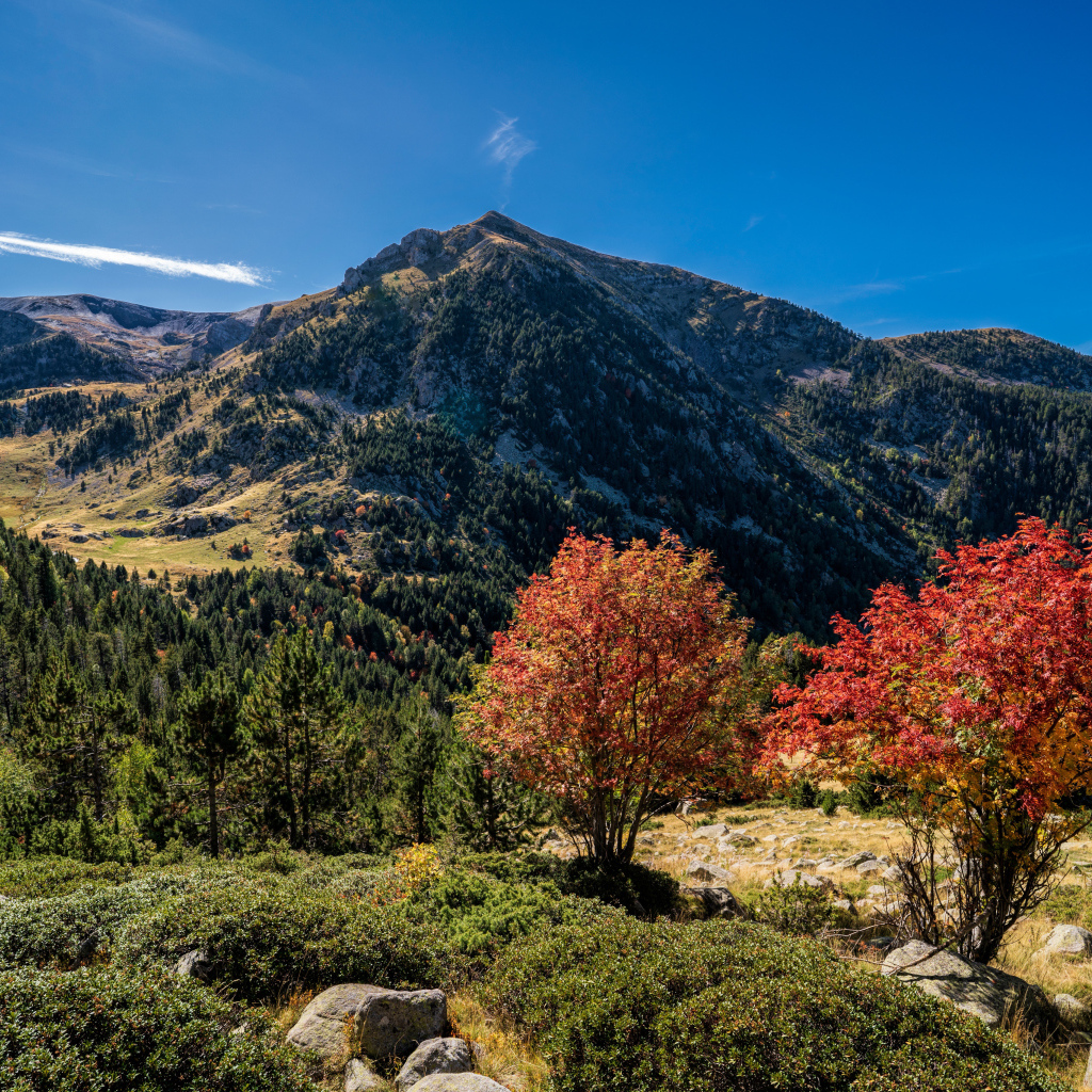 Вид на гору под голубым небом