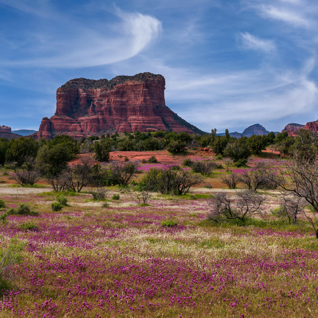 Скалистые горы под красивым голубым небом, США