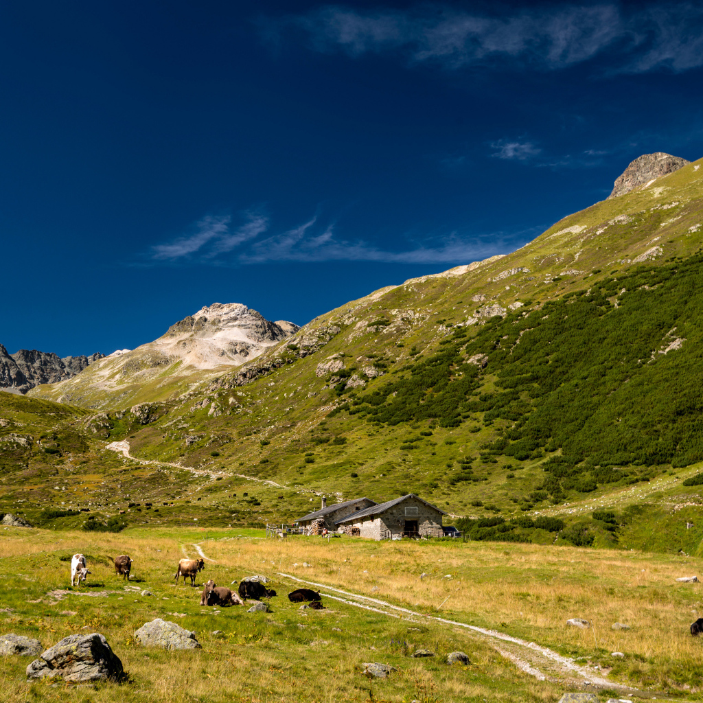 Поселение у покрытых зеленью гор под голубым небом