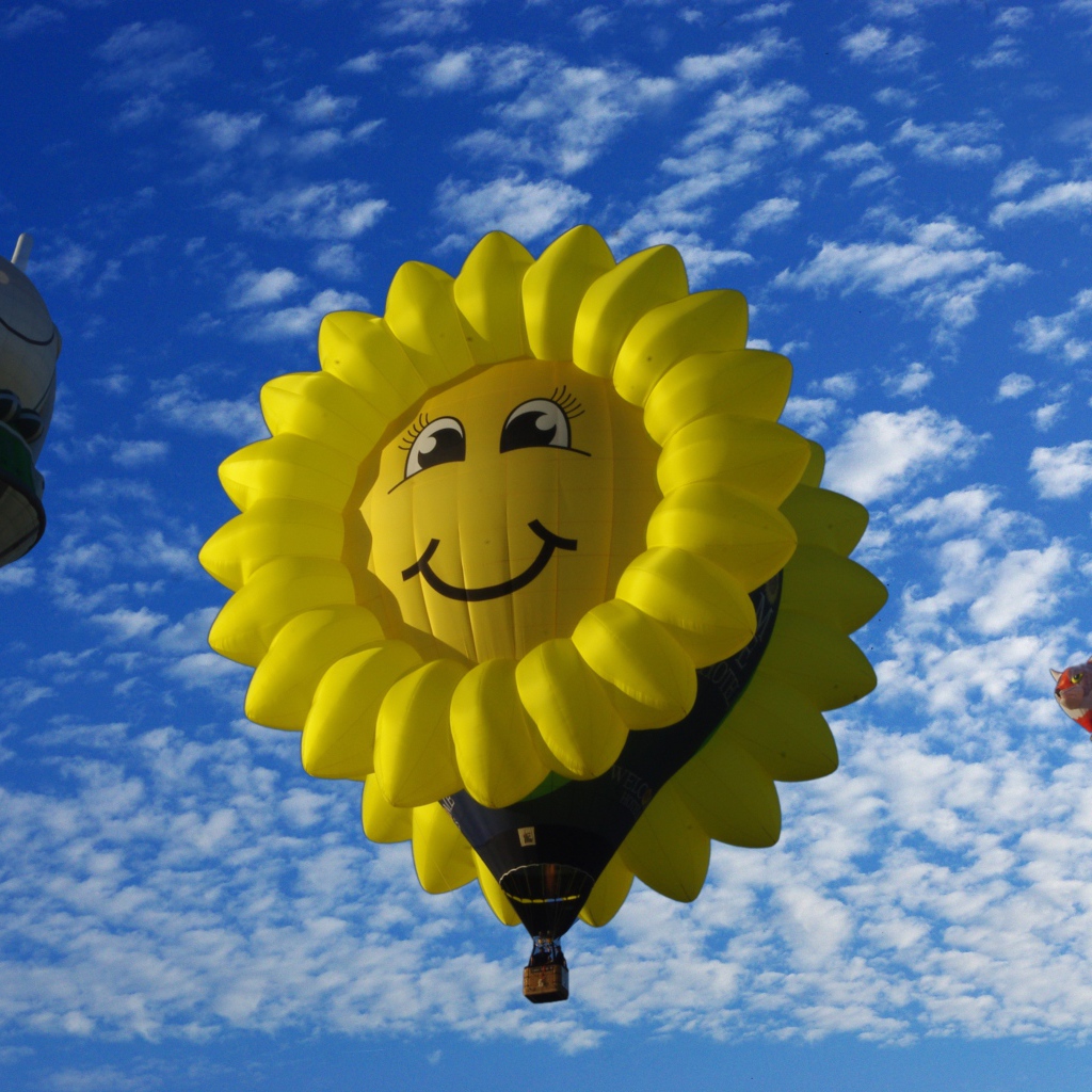 Красивые воздушные шары в голубом небе 