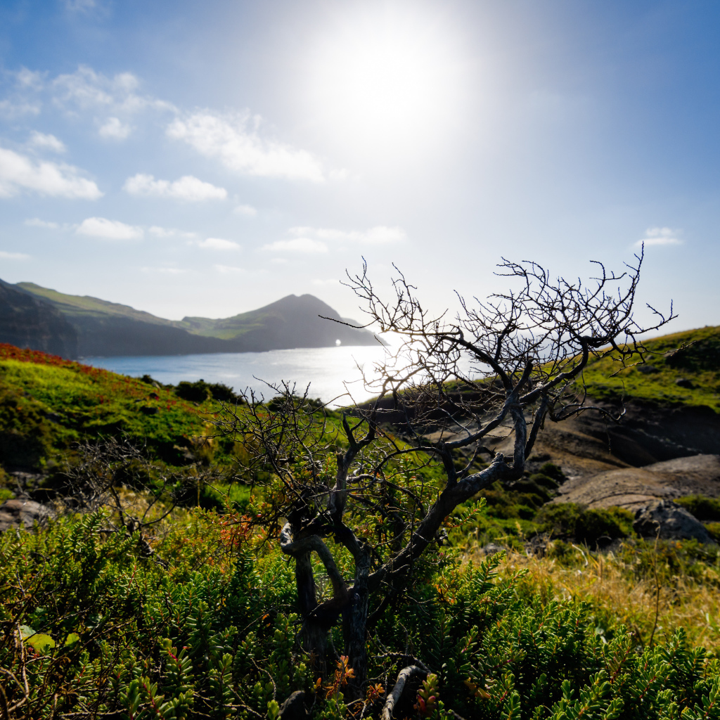 Зеленые утесы у моря на фоне яркого солнца