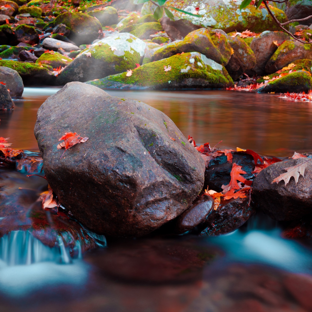 Большие мокрые камни с мхом в реке