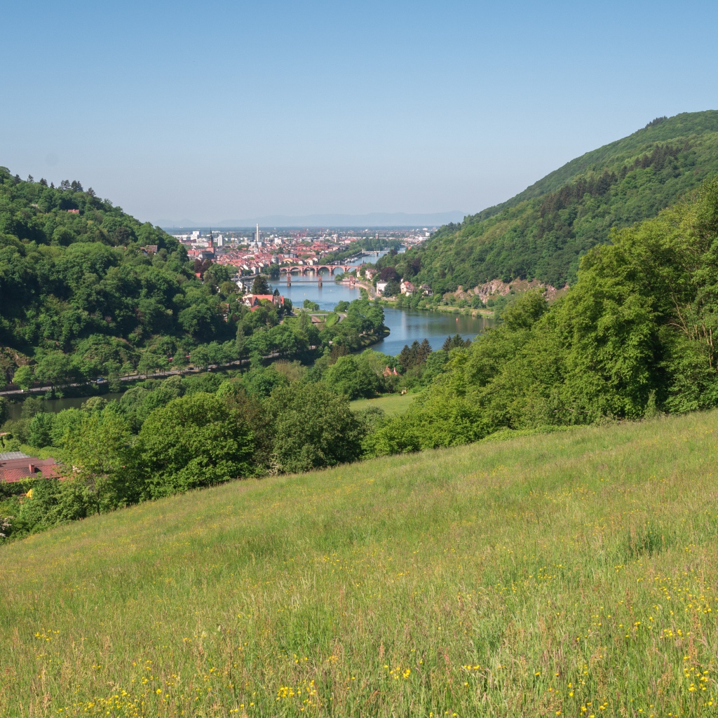 Вид с зеленого холма на реку 