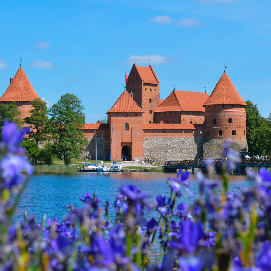 Вид на старую крепость у озера с цветами ириса