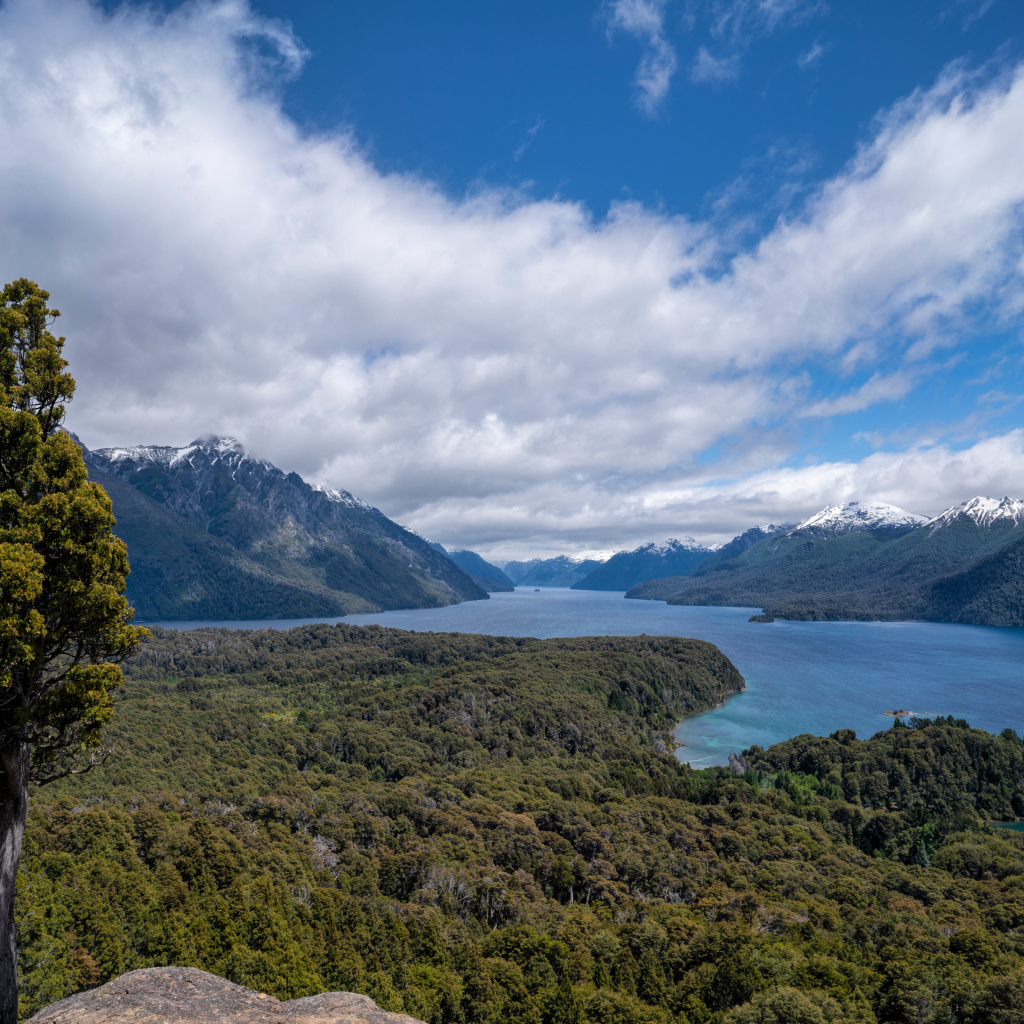 Красивый вид на реку под голубым небом с белыми облаками