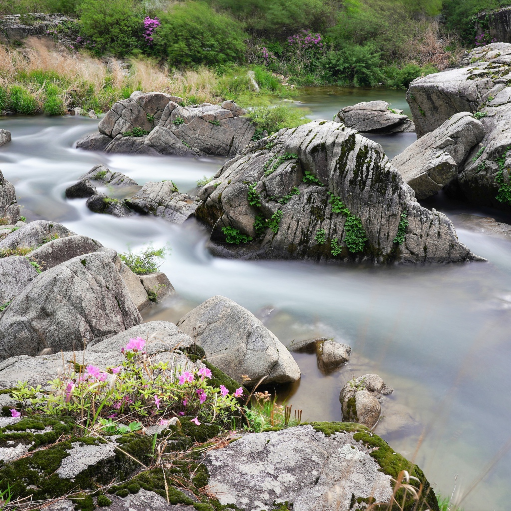 Большие камни в горной реке 
