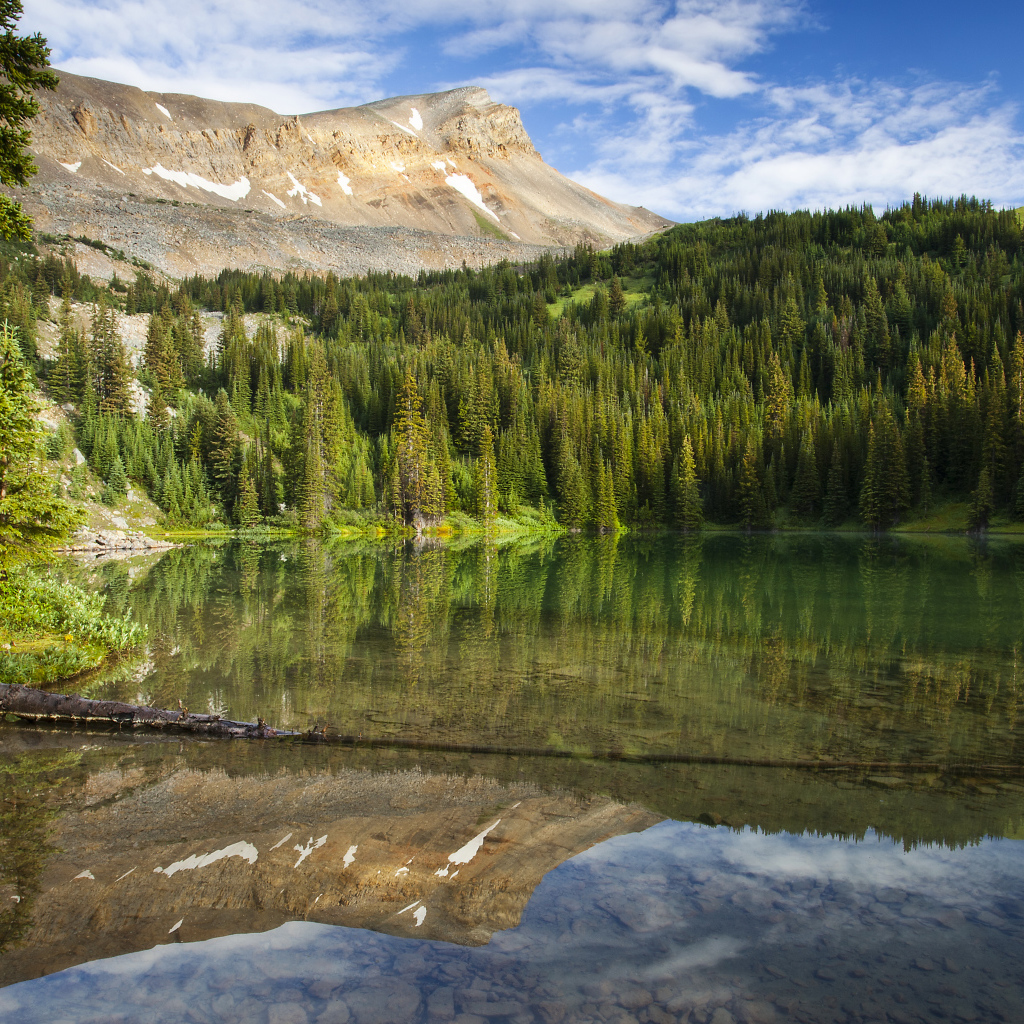 Спокойная чистая вода в озере под голубым небом у хвойного леса 