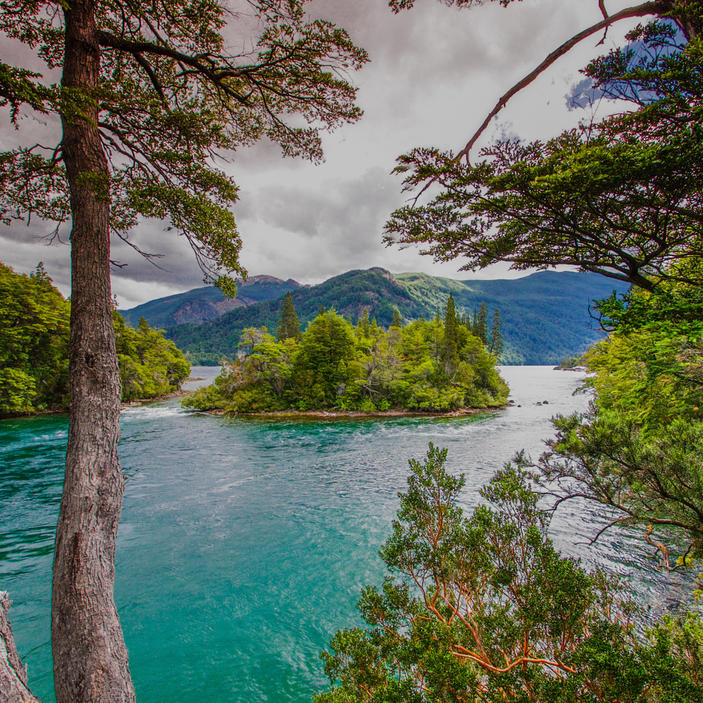 Зеленый остров посередине реки с голубой водой 