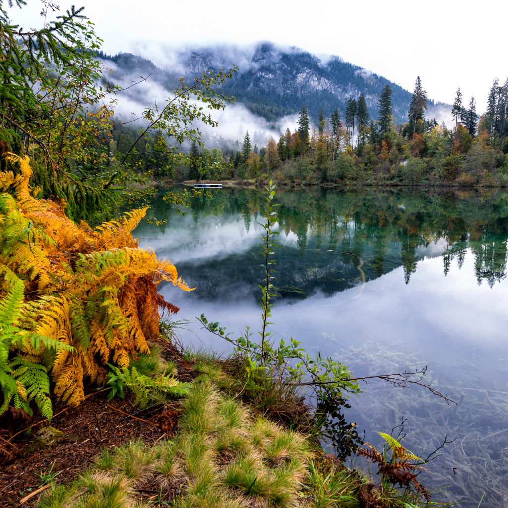 Туман покрывает горы у спокойного озера на рассвете 