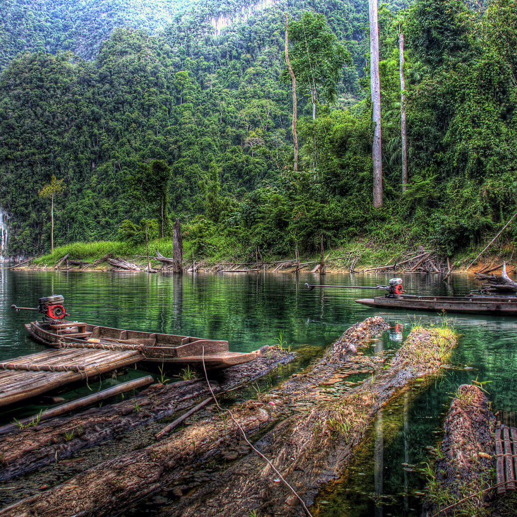 Old wooden boats on the river bank