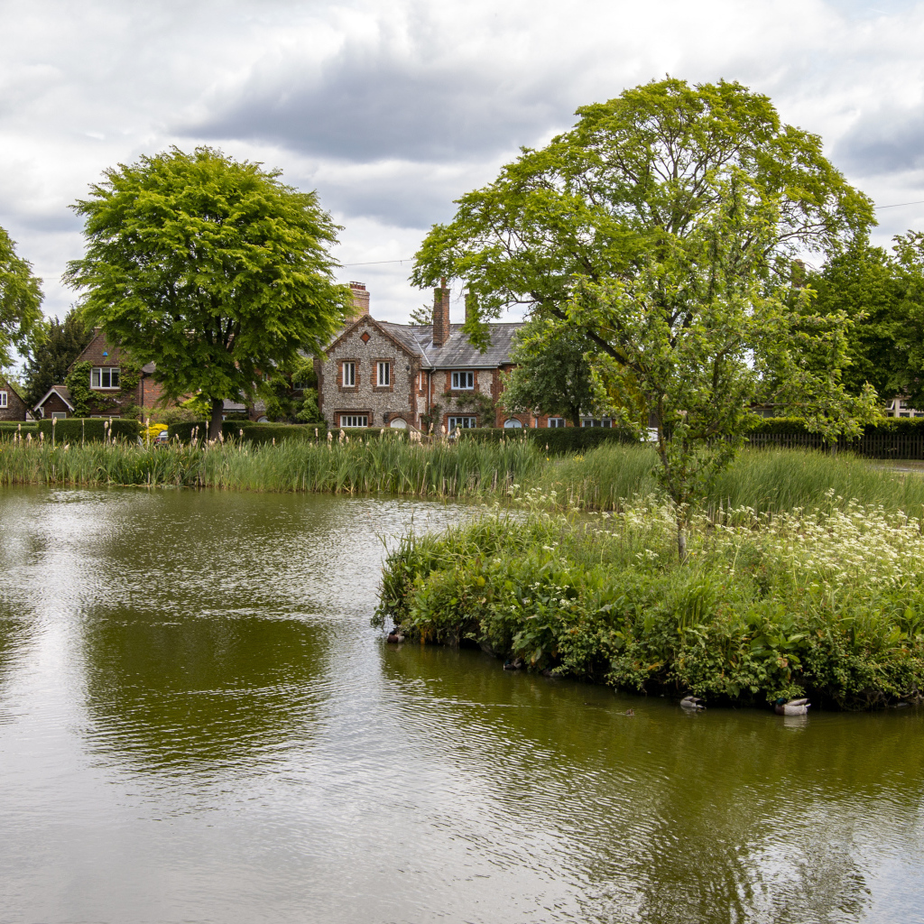 Улица с прудом и зеленой растительностью 