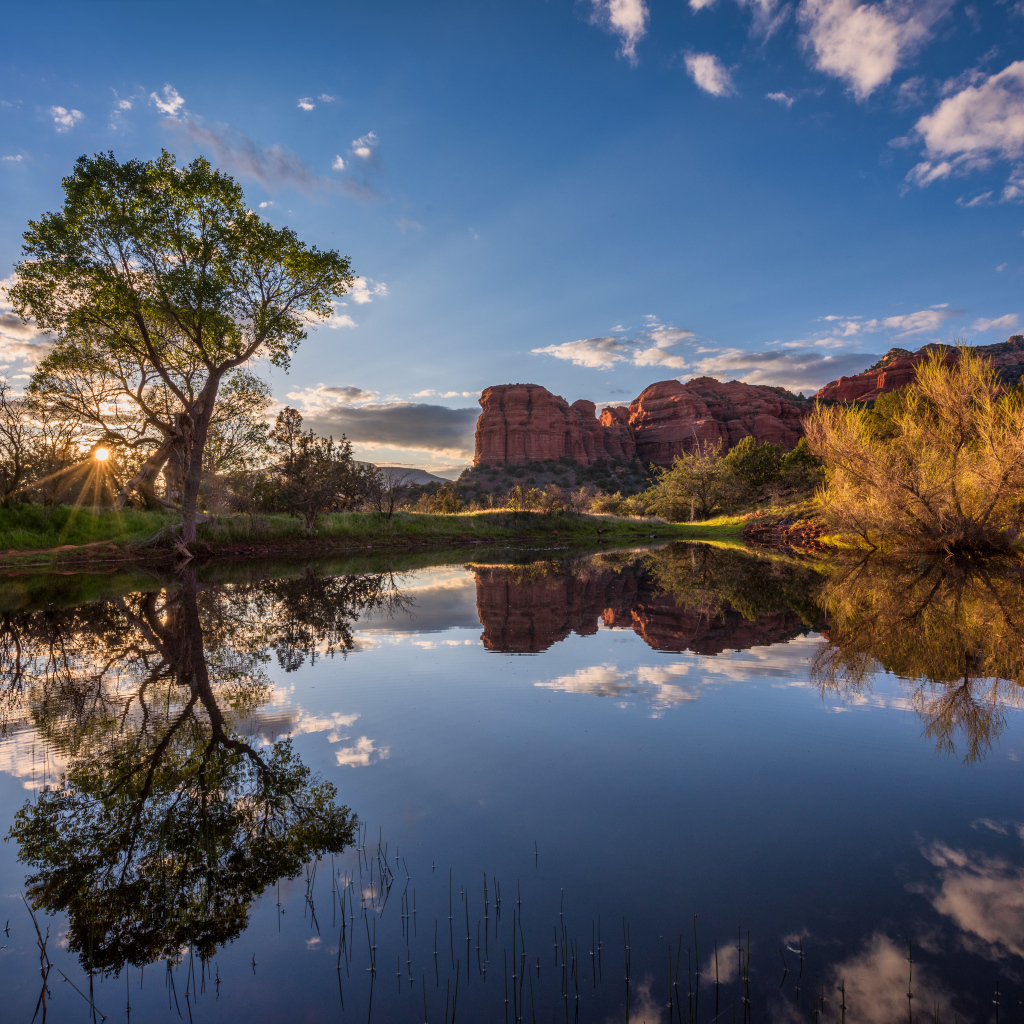 Яркое солнце пробивается сквозь деревья у пруда