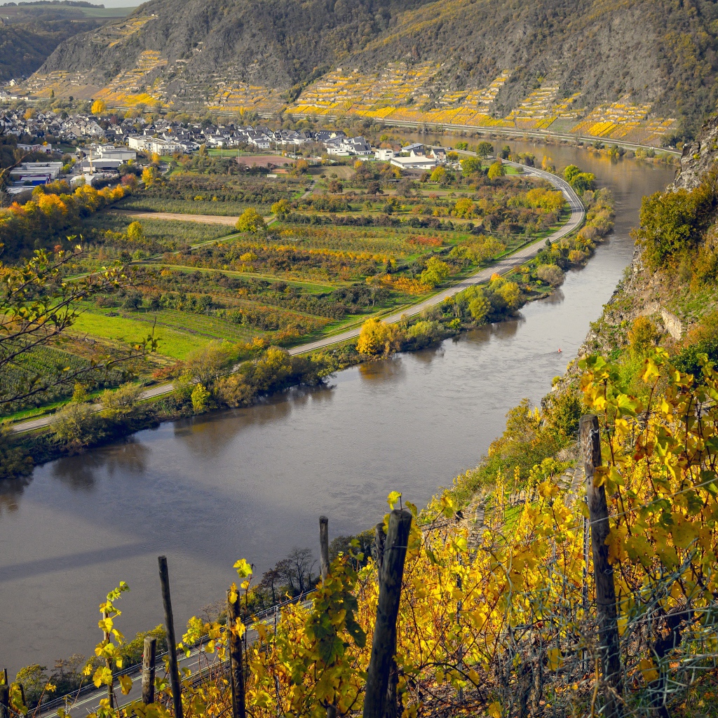 Вид сверху на реку и виноградники 