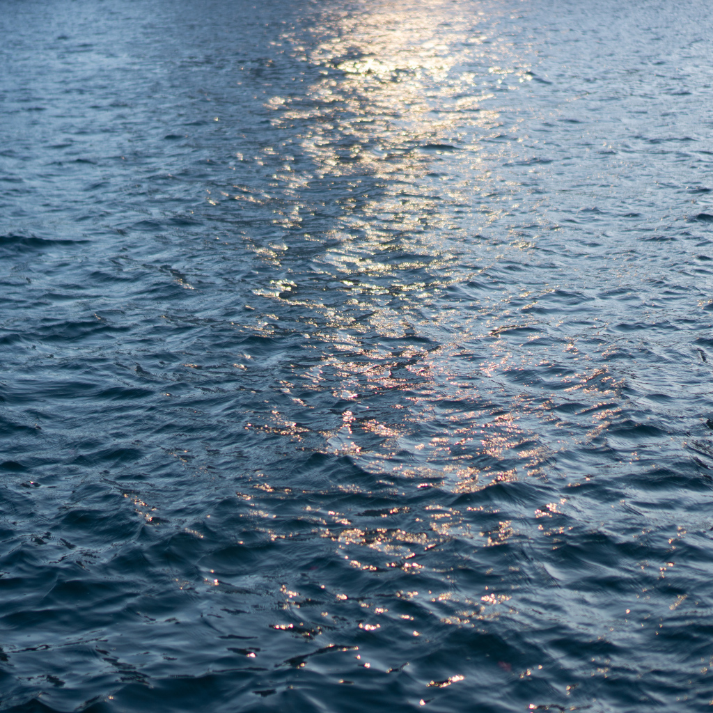 Спокойное море крупным планом