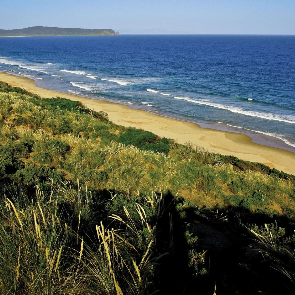 Вид на морское побережье 