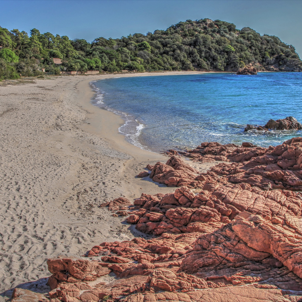 Камни на берегу моря у леса 