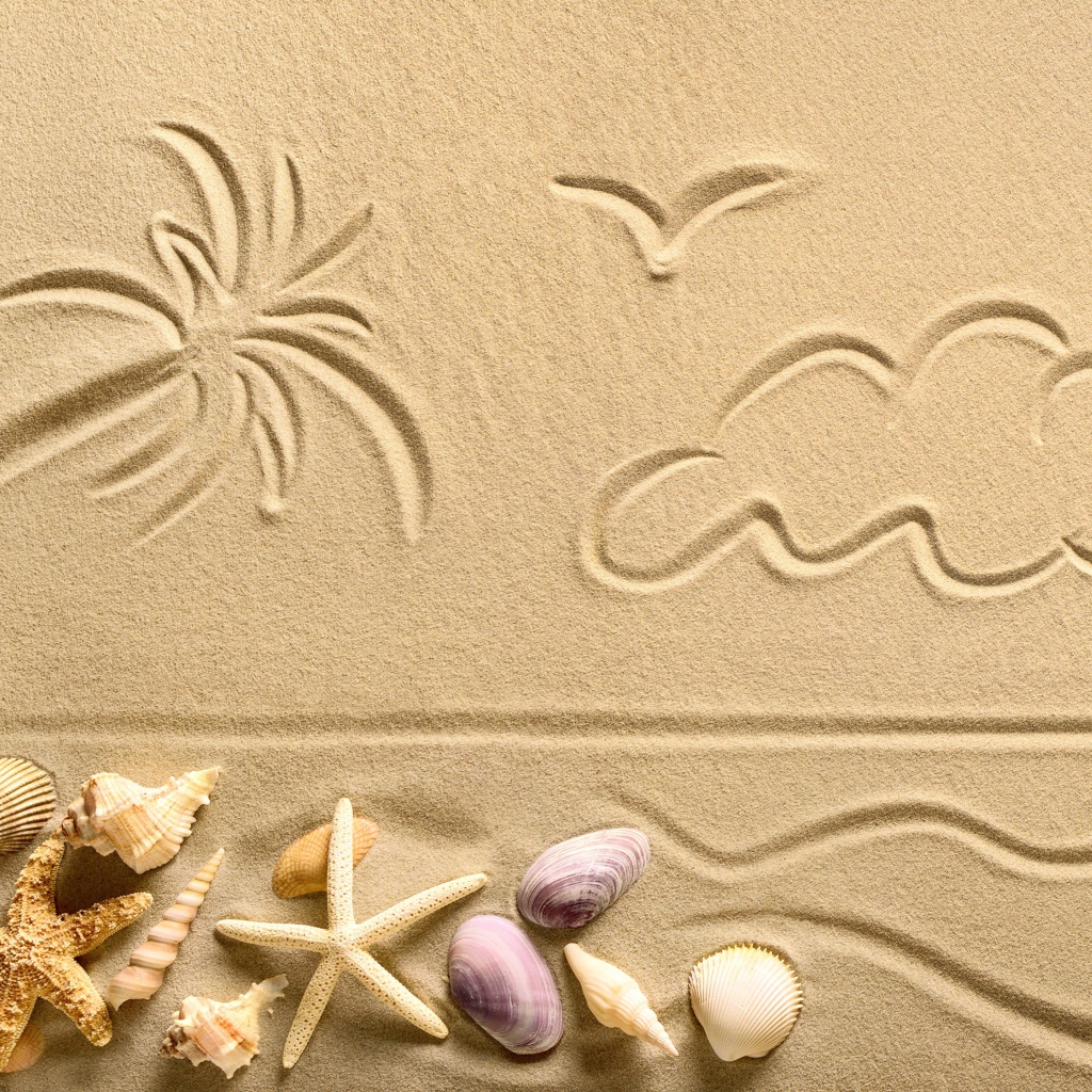 Рисунки на песке с ракушками и морскими звездами летом