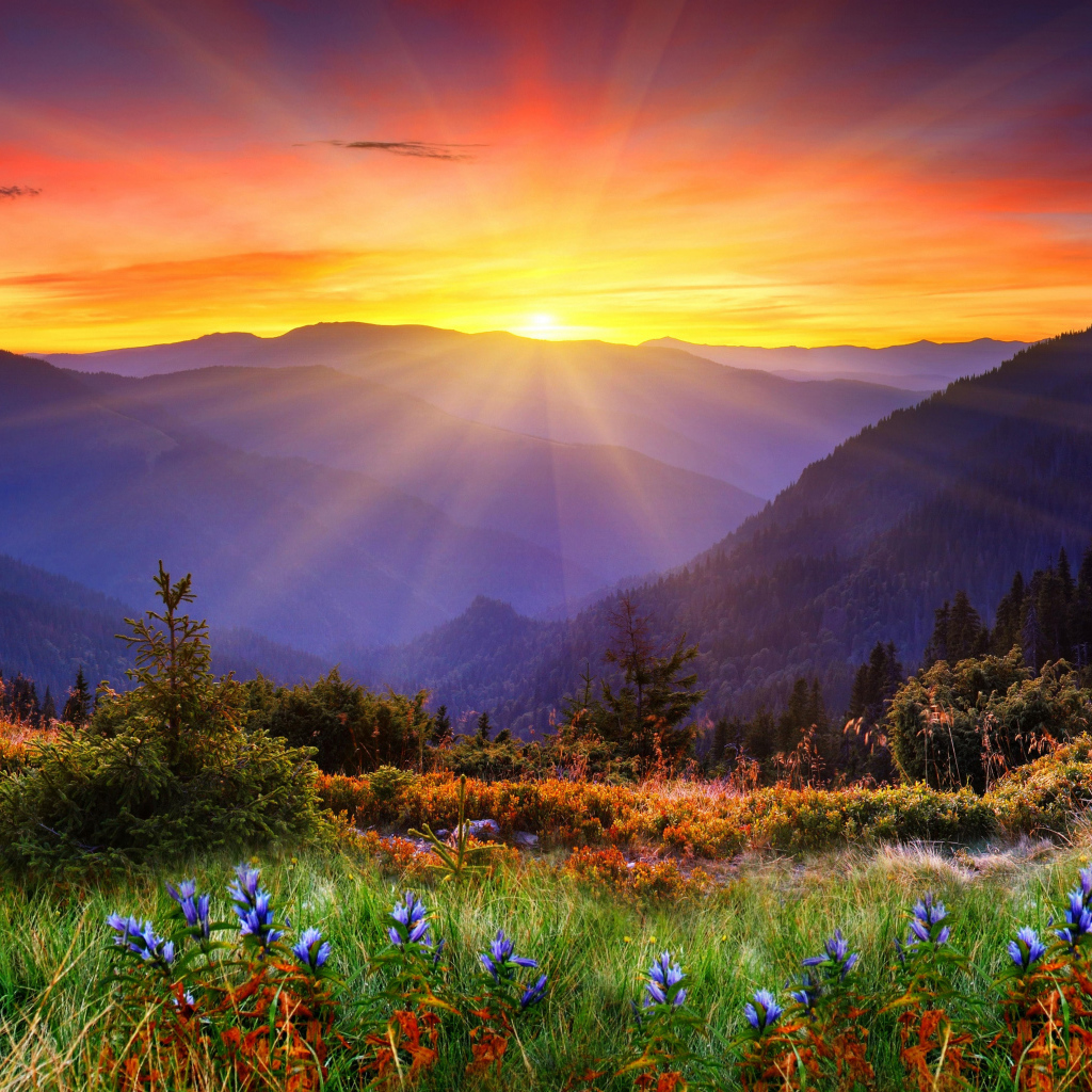 Яркое солнце покрывает вершины гор и красивую природу 