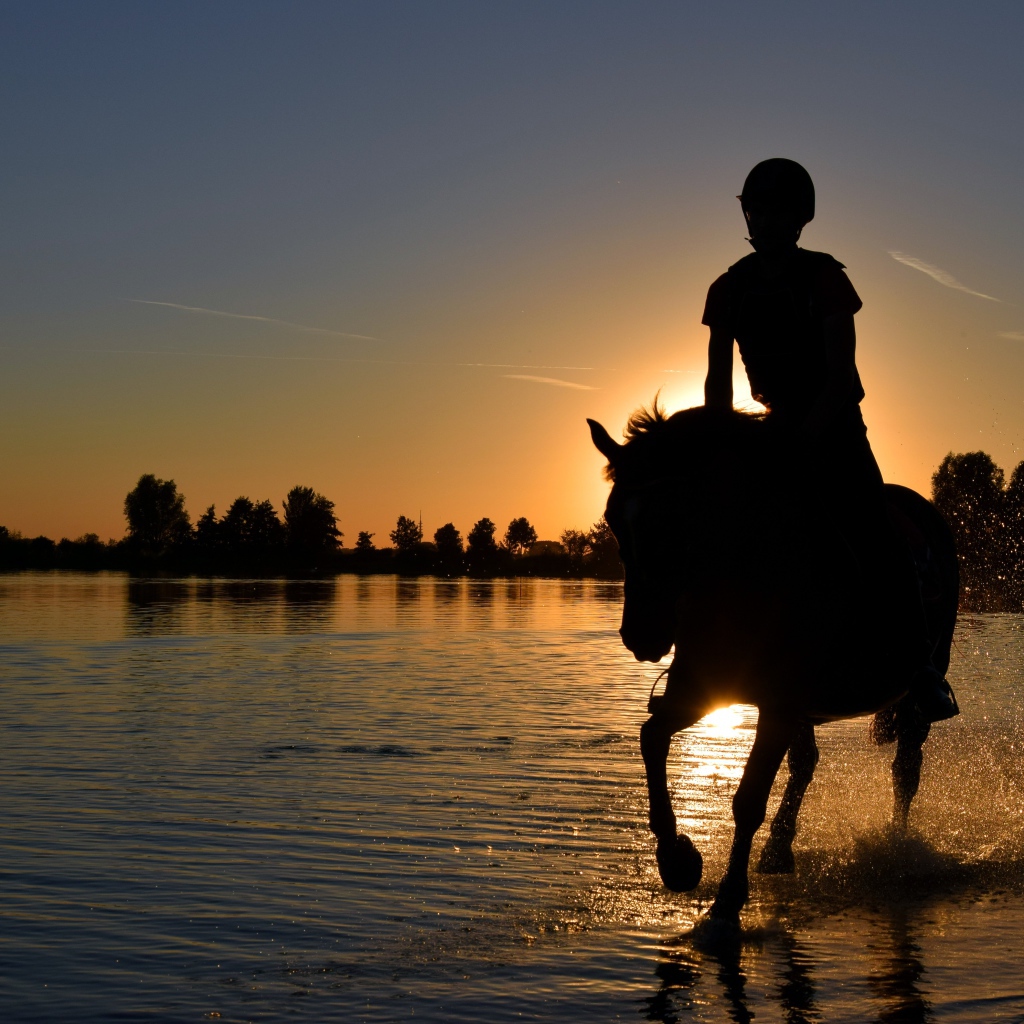 Девушка на лошади скачет по воде на фоне заката