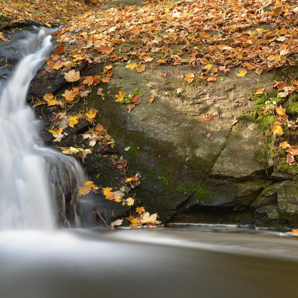 Маленький водопад стекает в реку по покрытым опавшими листьями камням
