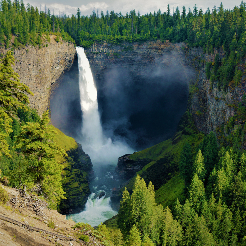 Водопад стекает с утеса в лесу, Канада 