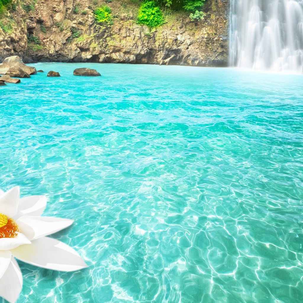 Большой белый цветок в голубой воде у водопада 
