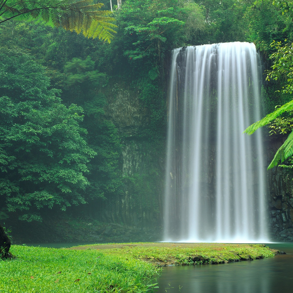 Водопад Миллаа Миллаа  в зеленых зарослях, Австралия