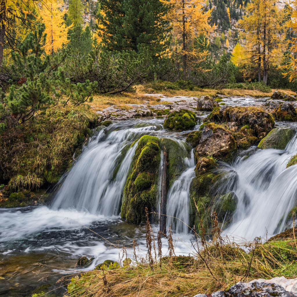 Быстрая вода водопада стекает по камням в осеннем лесу
