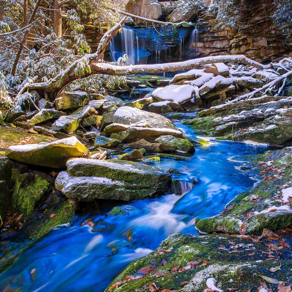 Первый снег покрыл камни у лесного ручья