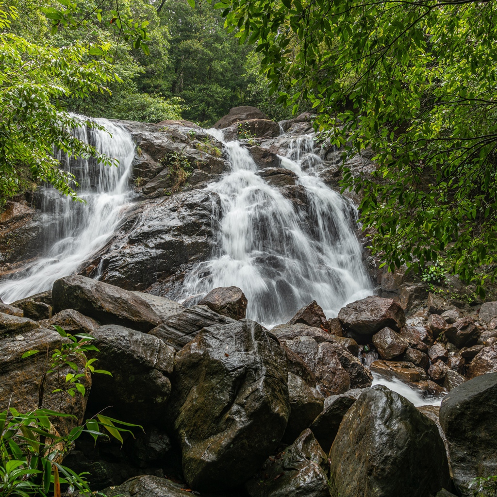 Водопад стекает по большим мокрым камням в лесу 