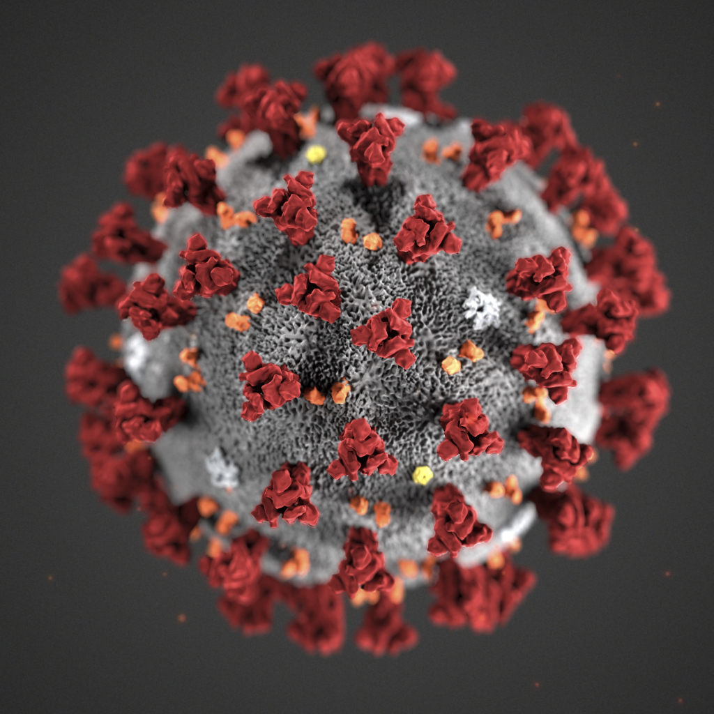 Coronavirus COVID-19 on a gray background