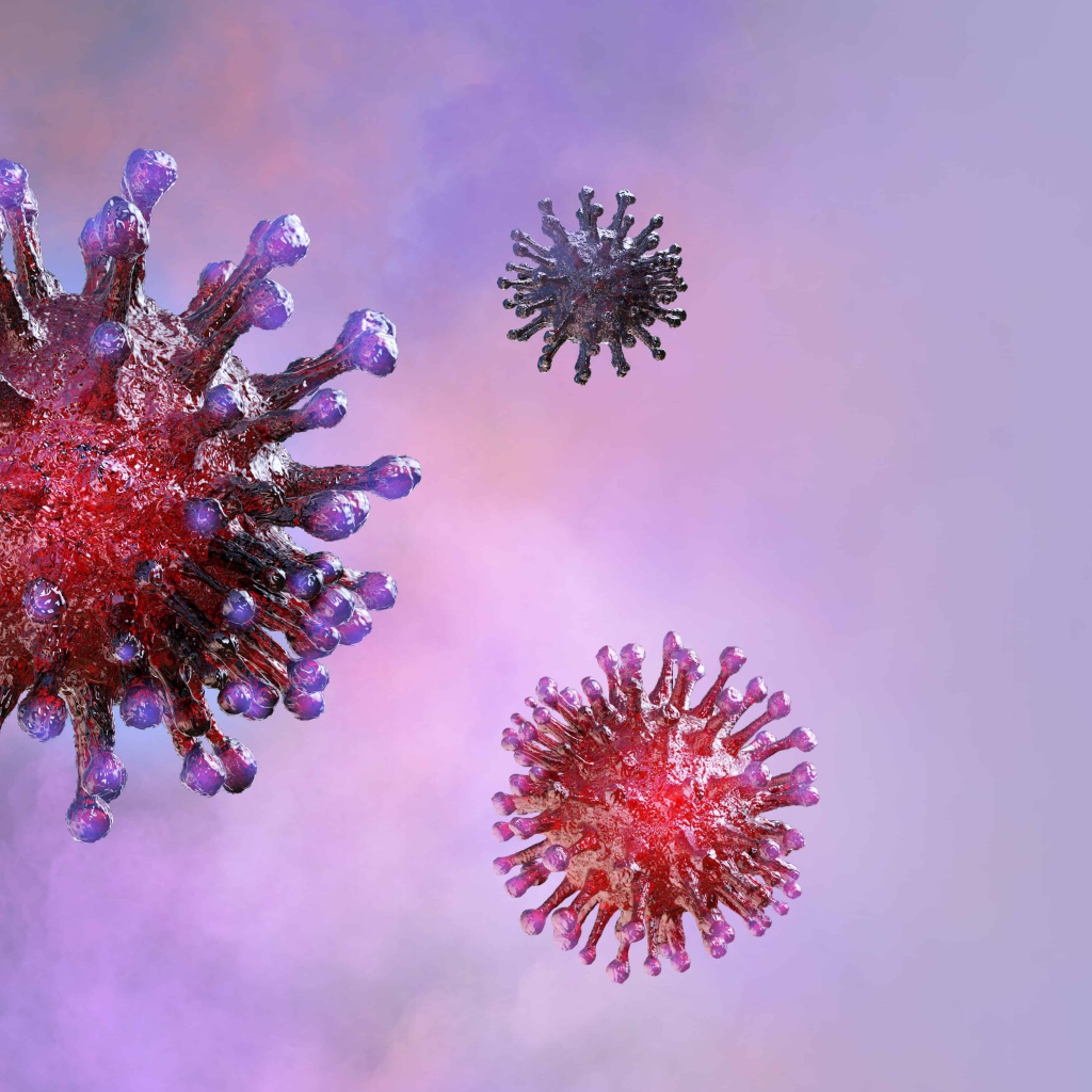 Вирусы коронавируса covid-19 на фиолетовом фоне