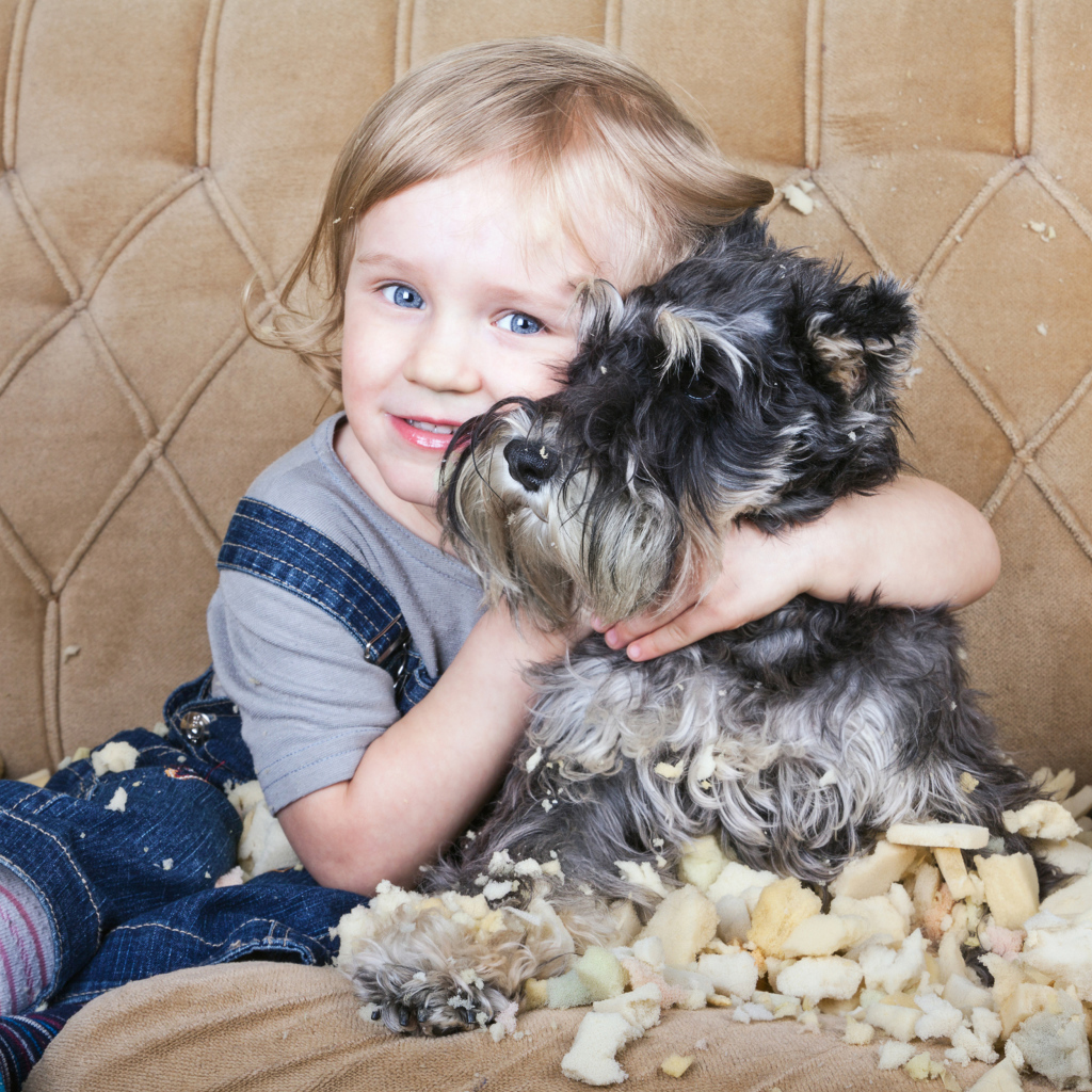 Маленький голубоглазый мальчик на диване