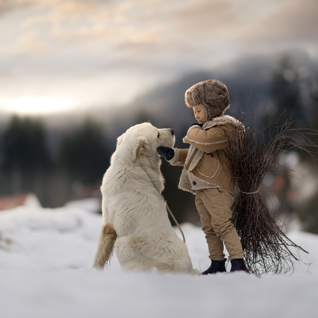 Маленький мальчик с большой белой собакой в лесу 