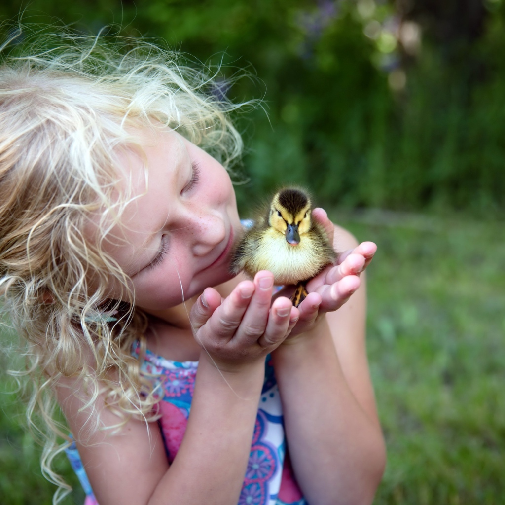 Маленькая милая девочка с утенком в руке