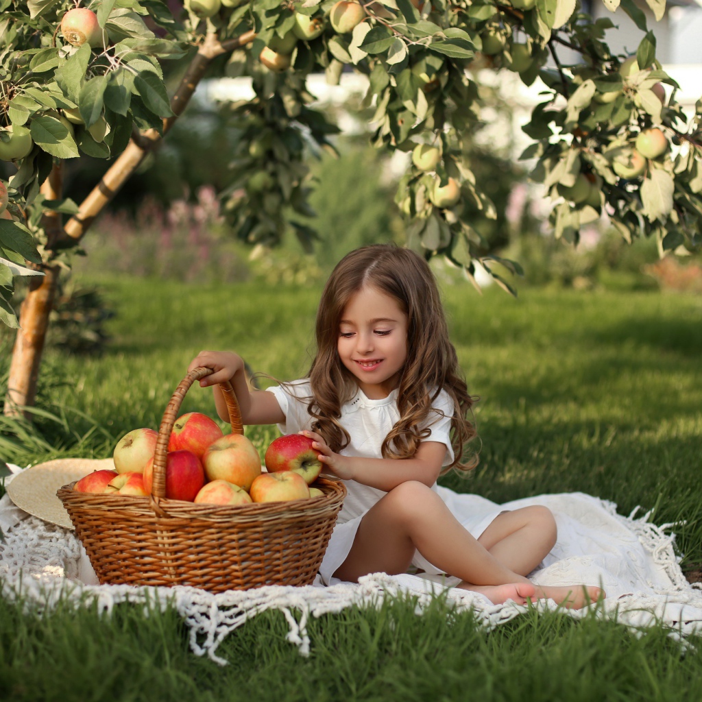 Маленькая девочка сидит с корзиной с яблоками на траве