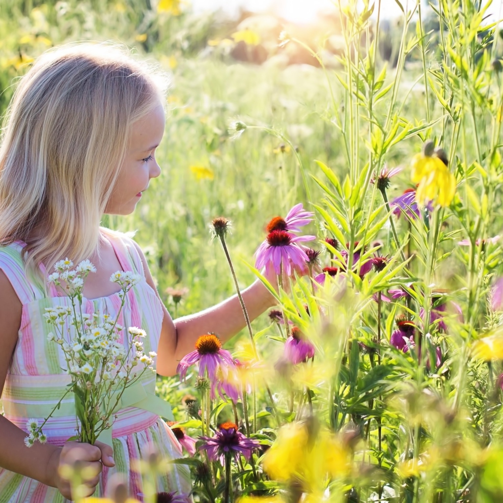 Маленькая девочка гуляет на поле с цветами эхинацеи 