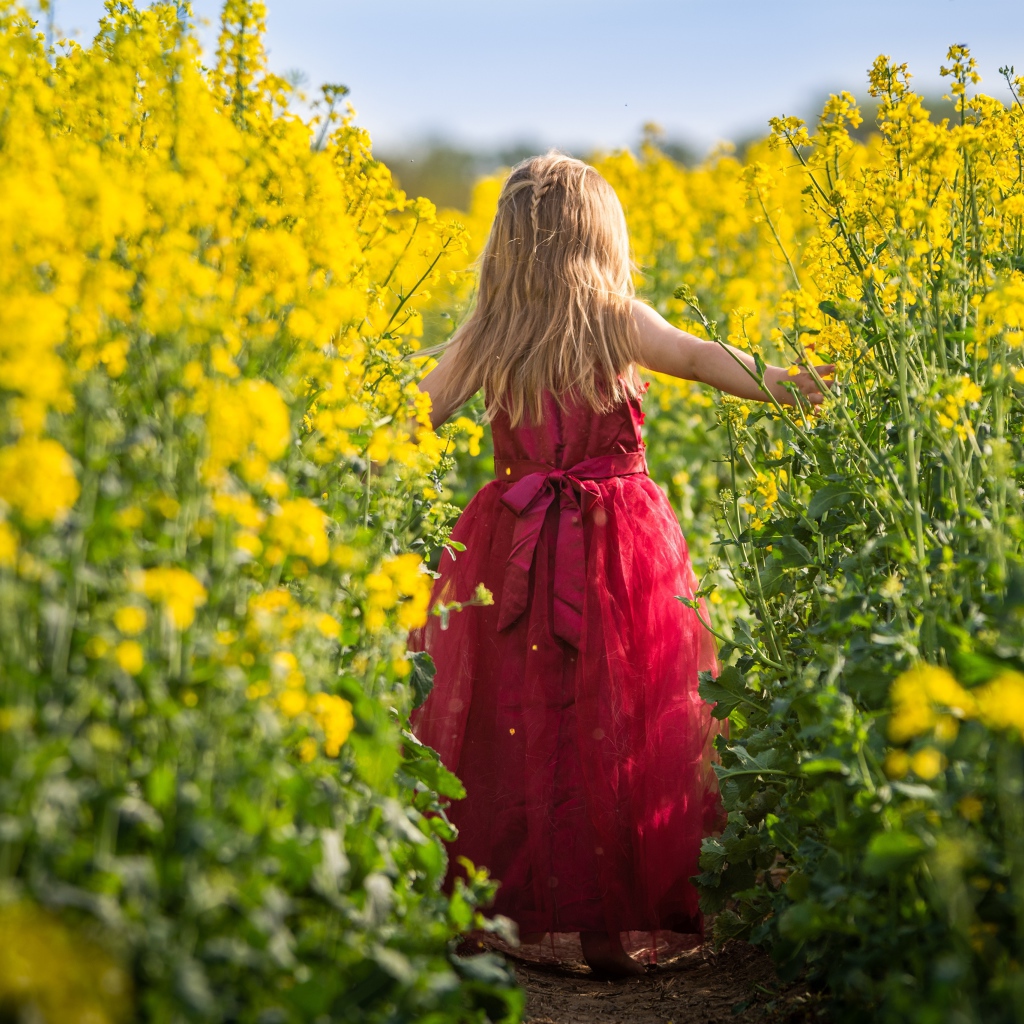 Маленькая девочка идет по полю с желтыми цветами