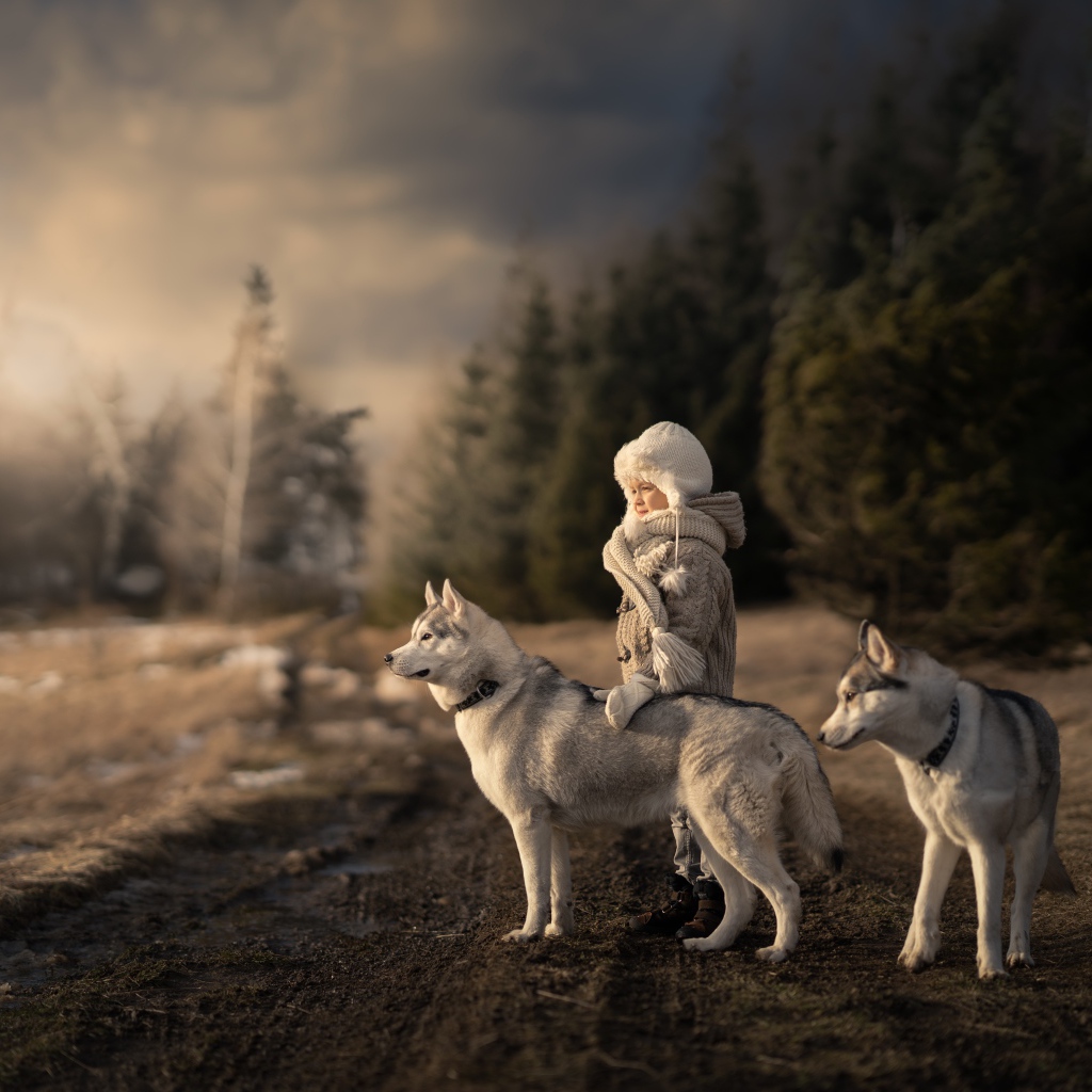 Маленькая девочка с собаками хаски в лесу